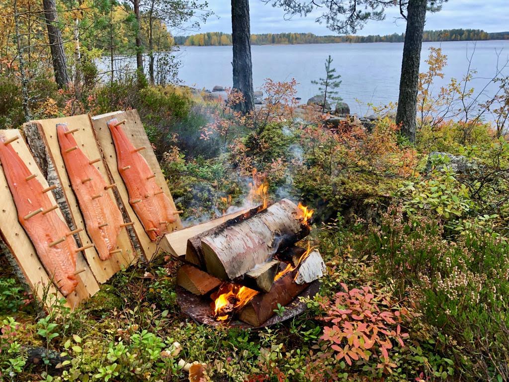 Luonnossa loimulohi kypsymässä - Elämysmatka tyky aktiivisesti